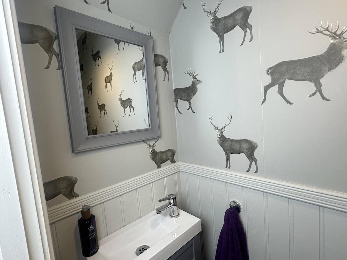 Stylish Highland-theme 2br Sefton Park Liverpool